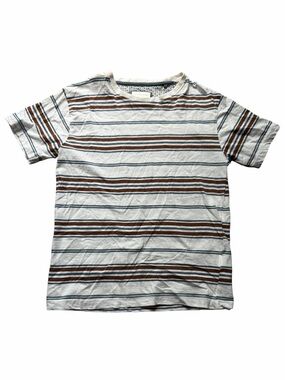Boy’s Cactus White Tee with Brown and Blue Stripes - Kids
